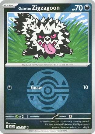 Galarian Zigzagoon (130/217) (Dusk Ball) [Mega Evolution: Ascended Heroes]