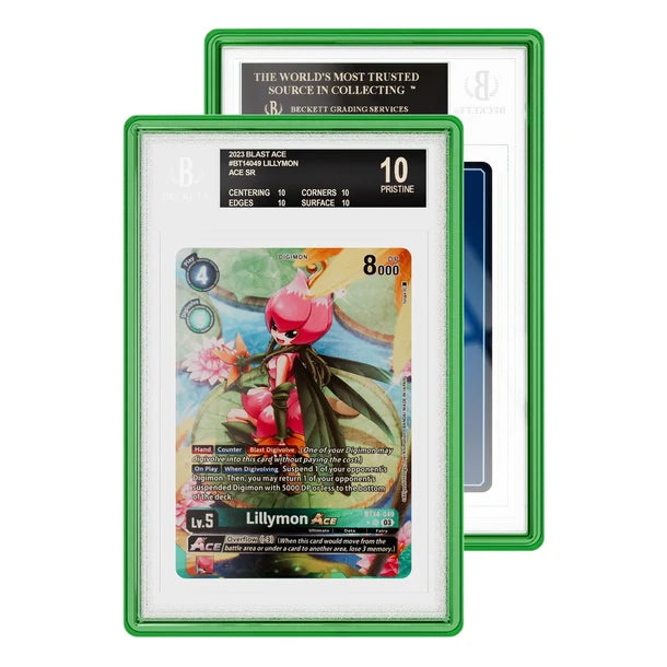 Graded Guard Jewel Case (BGS)