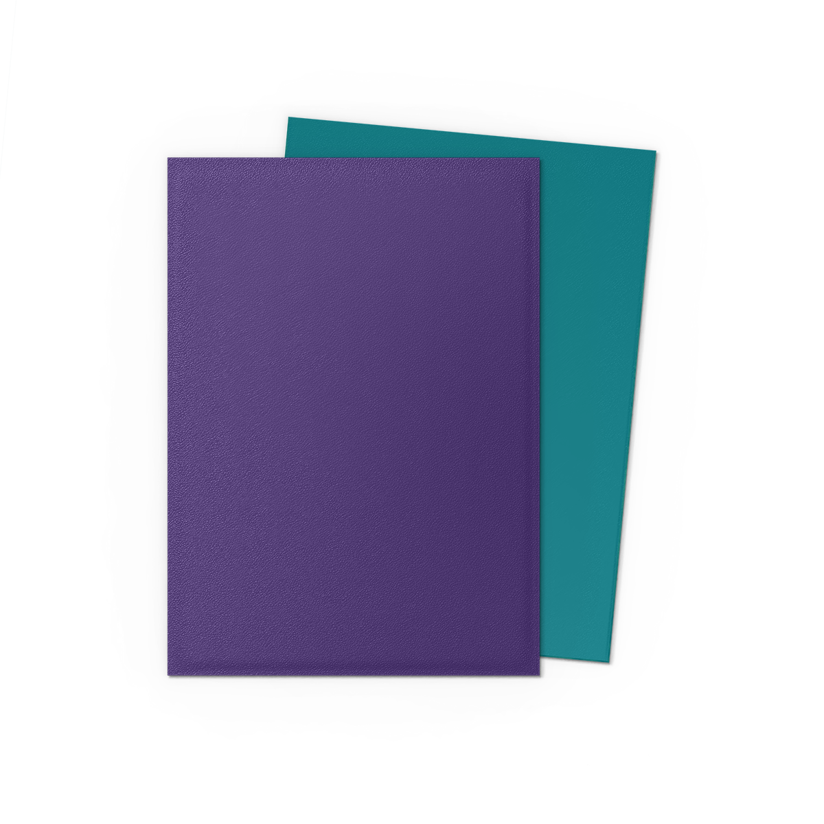 Dragon Shield Dual Matte Card Sleeves – Soul & Petrol