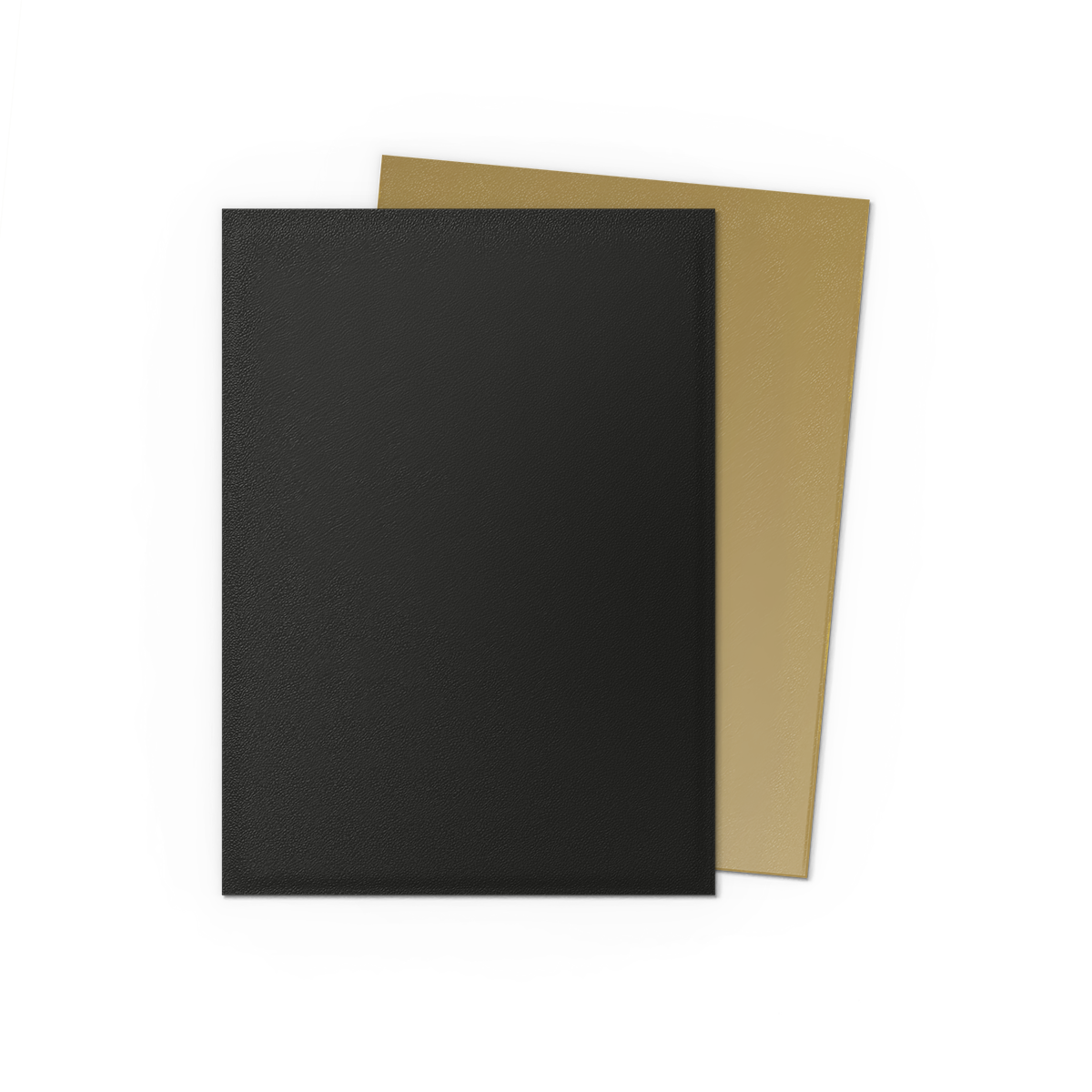 Dragon Shield Dual Matte Black & Gold Card Sleeves
